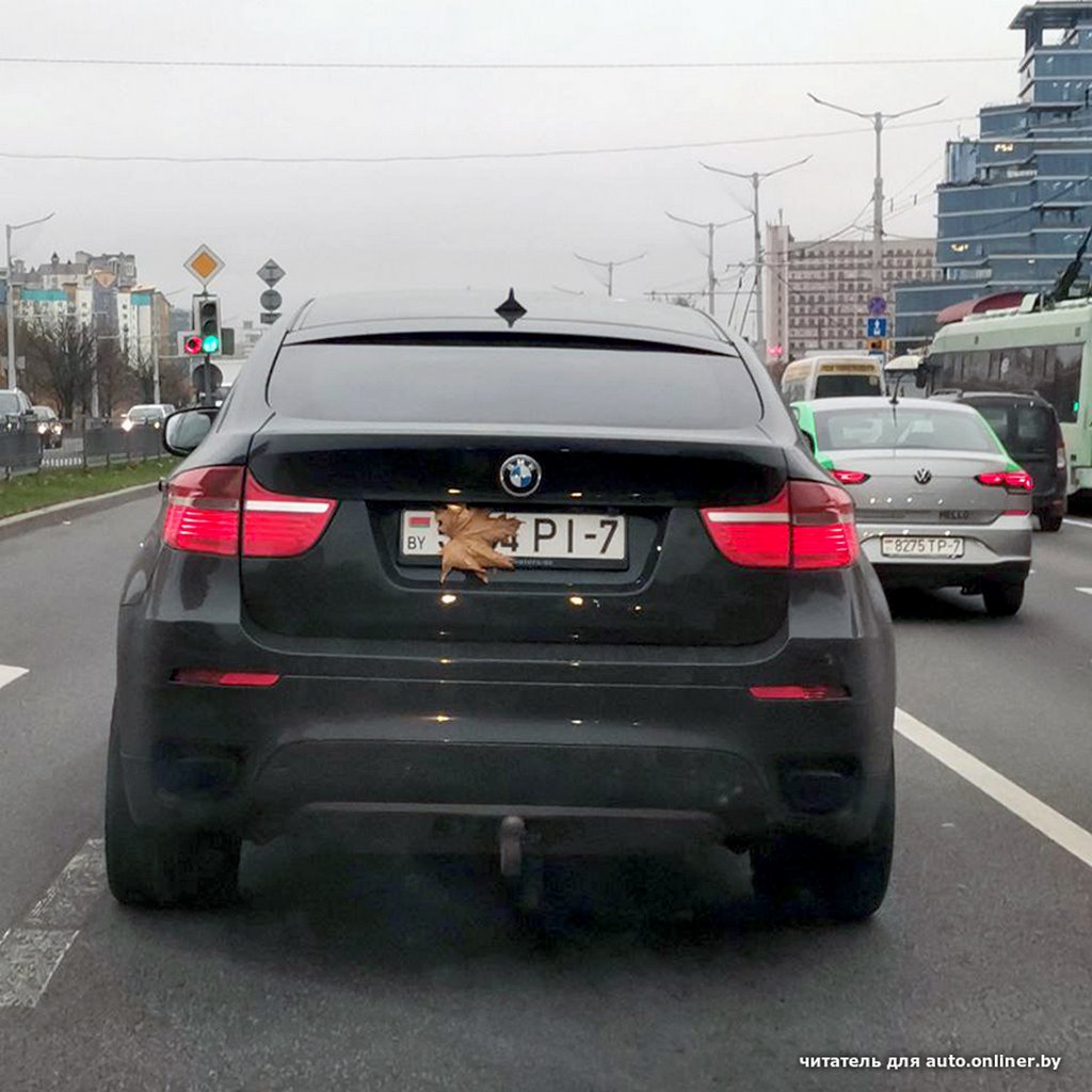 Мог ли этот листочек случайно так приклеиться?