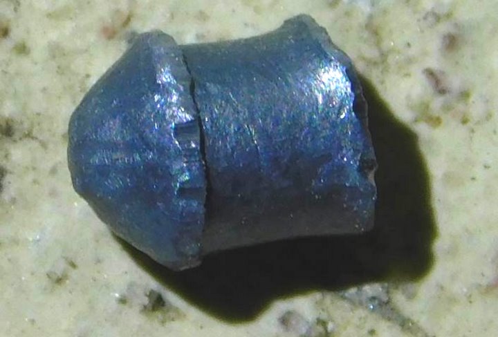 Жесть... В Пинске ребенок с отцом избили гостя, а потом устроили стрельбу из ружья (видео)