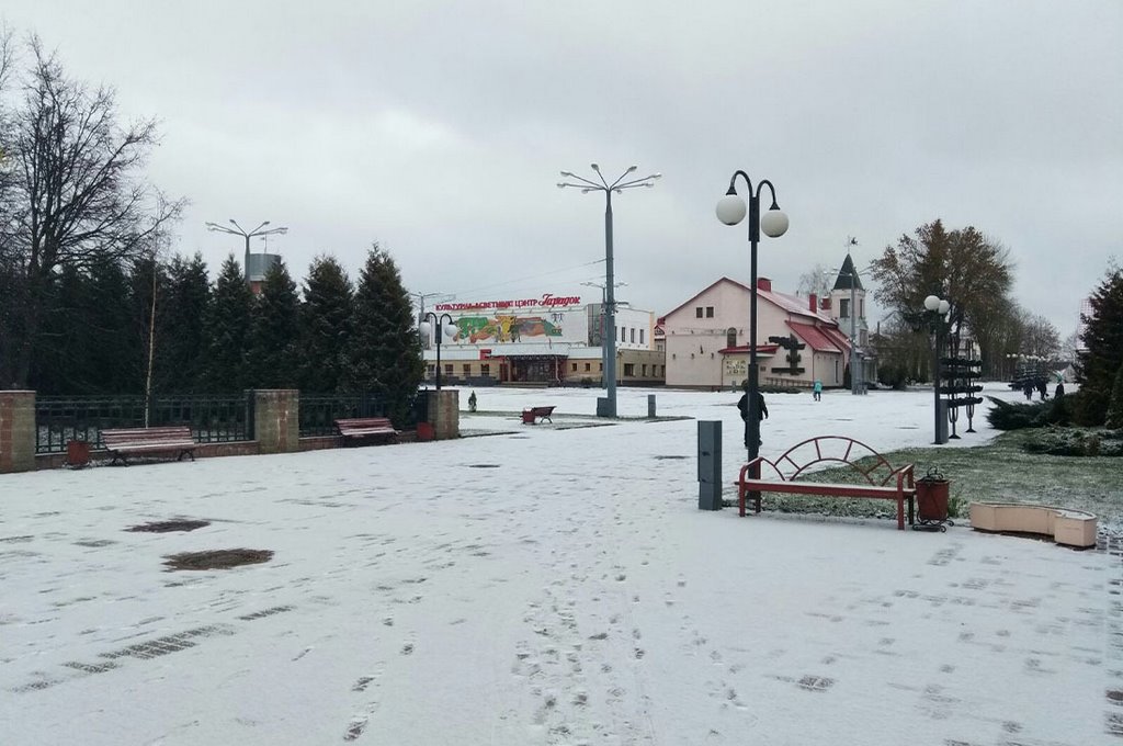 Фотофакт: в Беларуси выпал первый снег