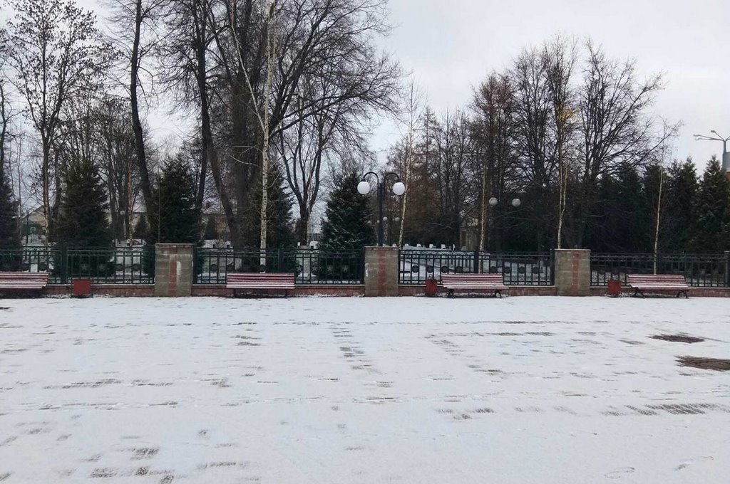 Фотофакт: в Беларуси выпал первый снег