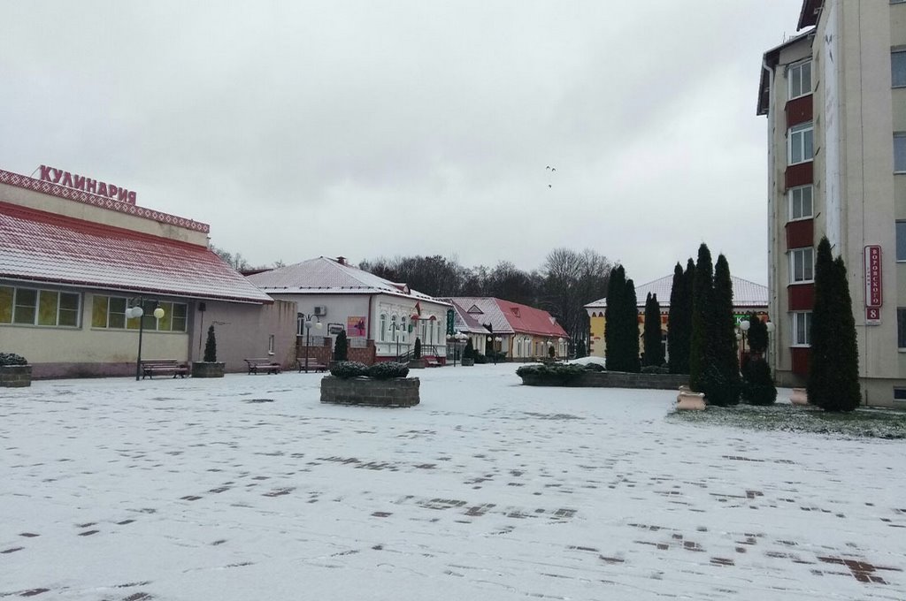 Фотофакт: в Беларуси выпал первый снег