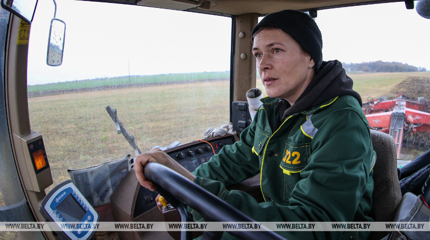 Как хрупкая женщина стала механизатором. Репортаж из Каменецкого района