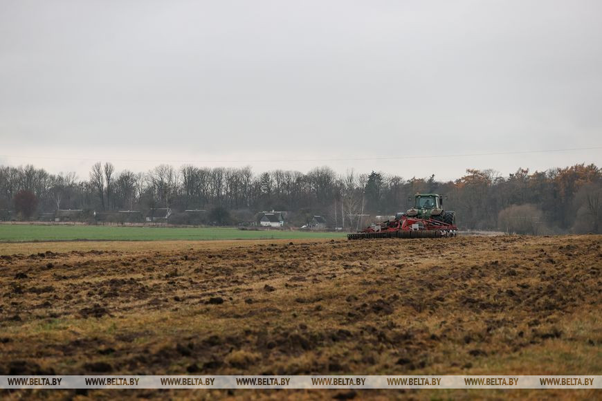 Как хрупкая женщина стала механизатором. Репортаж из Каменецкого района