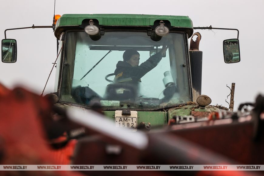 Как хрупкая женщина стала механизатором. Репортаж из Каменецкого района