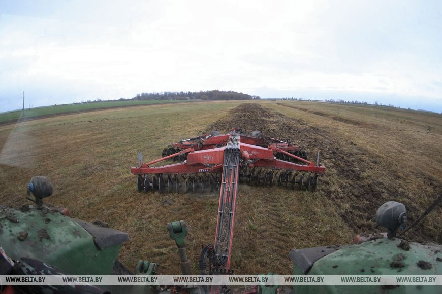 Как хрупкая женщина стала механизатором. Репортаж из Каменецкого района