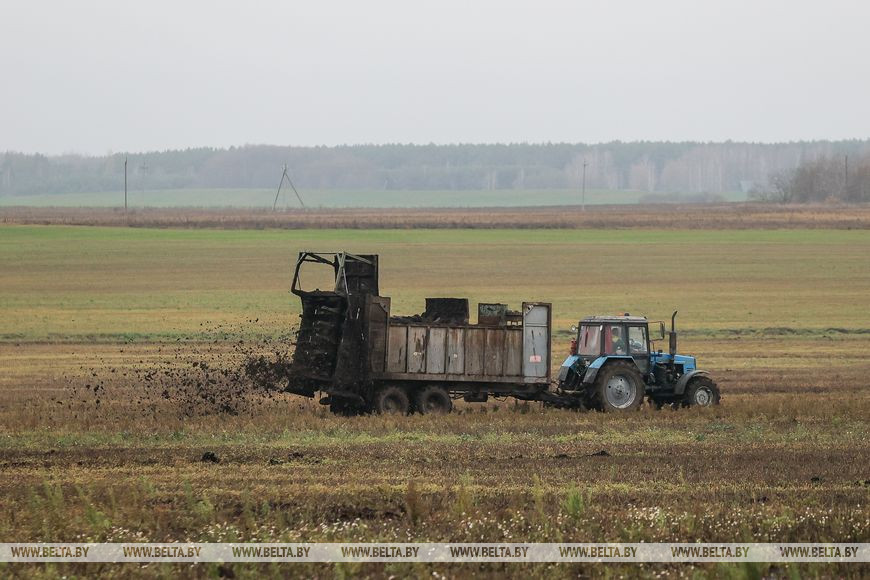 Как хрупкая женщина стала механизатором. Репортаж из Каменецкого района
