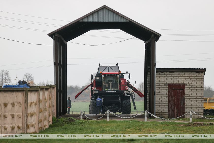 Как хрупкая женщина стала механизатором. Репортаж из Каменецкого района
