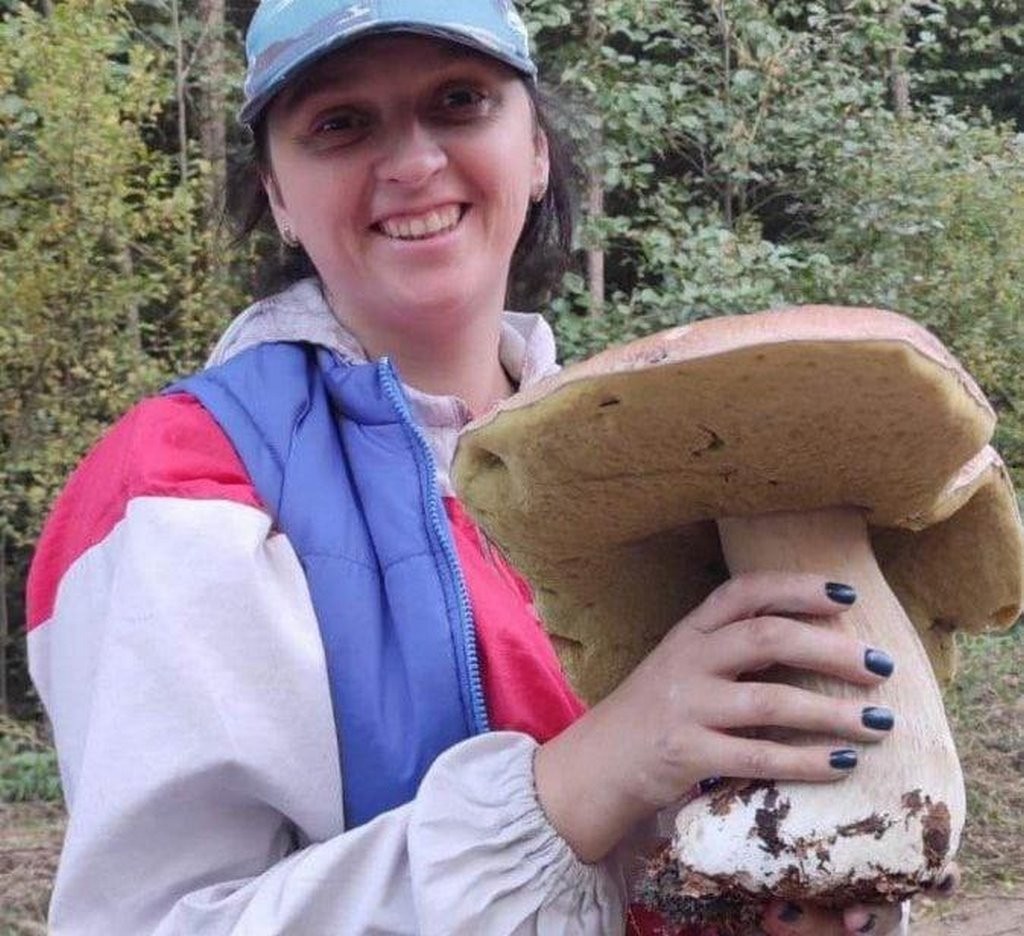 Гриб весом 1,5 кг нашли в лесу Минской области — он стал звездой TikTok. Об улове — из первых уст