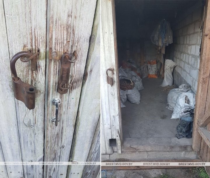 Почти 200 кг урожая клюквы похитили в Брестской области