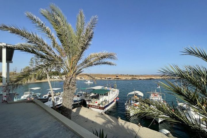 В какие страны можно уже сейчас купить путевку и во сколько она обойдется