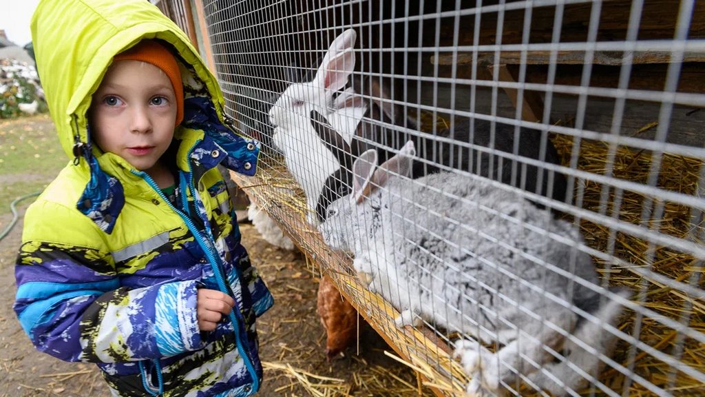 Многодетная семья оставила квартиру в райцентре ради домика в деревне. Что дальше?