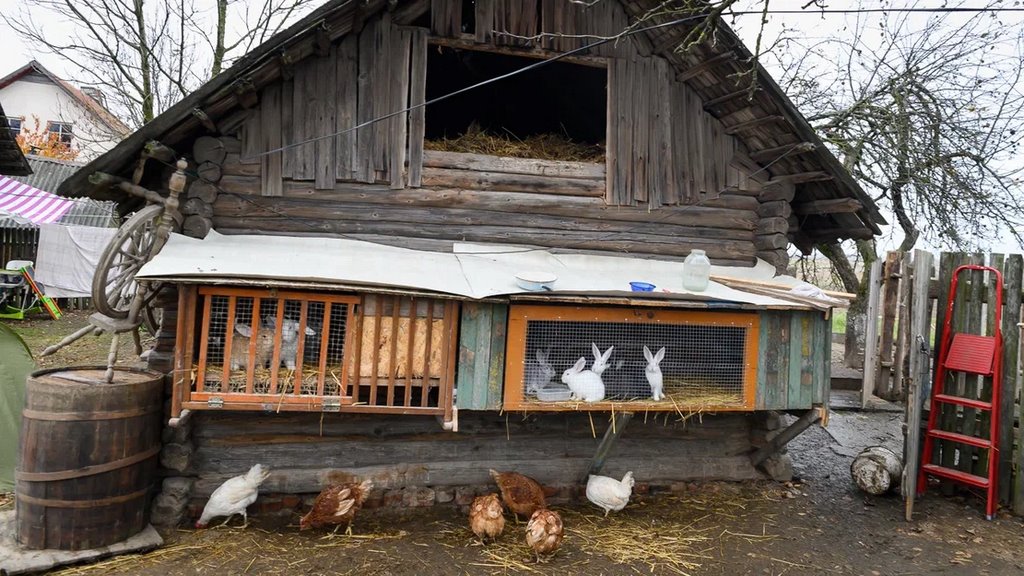 Многодетная семья оставила квартиру в райцентре ради домика в деревне. Что дальше?