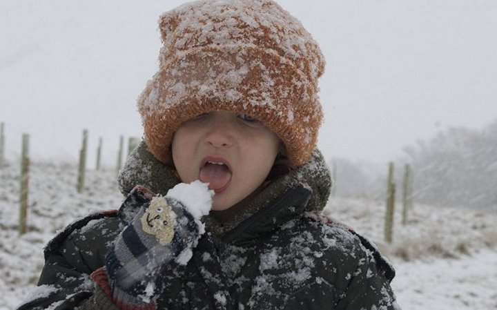 Фото из открытых источников (иллюстративное)