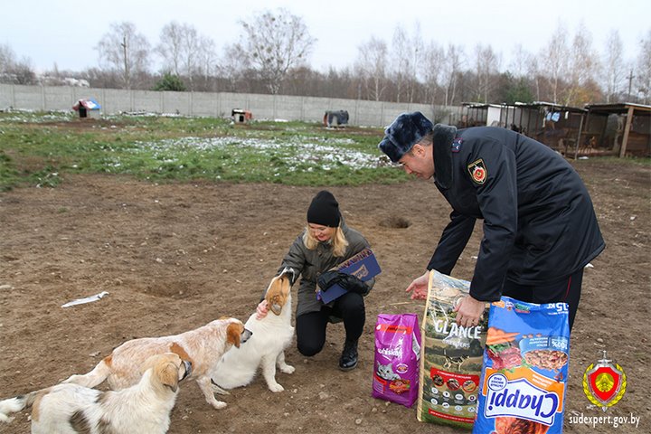 Брестские судебные эксперты помогли приюту для животных