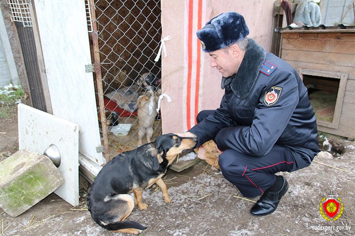 Брестские судебные эксперты помогли приюту для животных