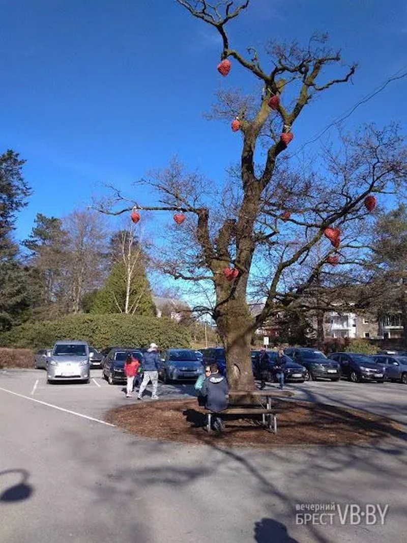 Норвежский «алфавит» глазами брестчанина. Чем живет сегодня страна фьордов?