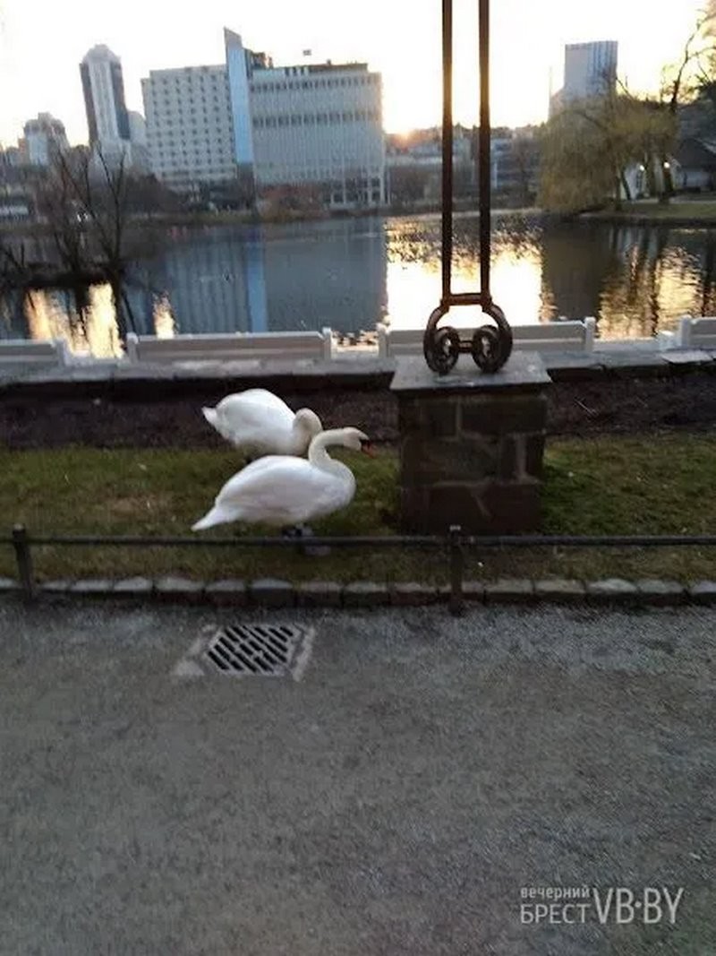 Норвежский «алфавит» глазами брестчанина. Чем живет сегодня страна фьордов?