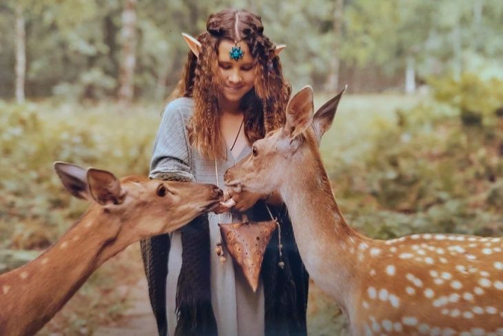 Эльфы и олени — кого только не увидишь в Кобринском лесхозе