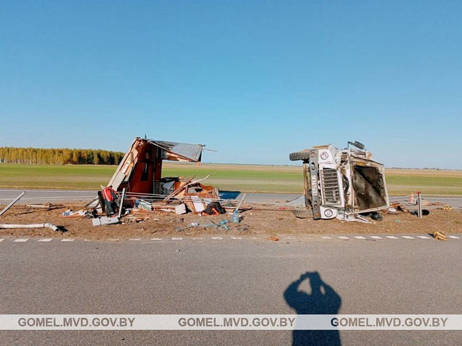 Виновницей ДТП стала оса? Случай в Беларуси