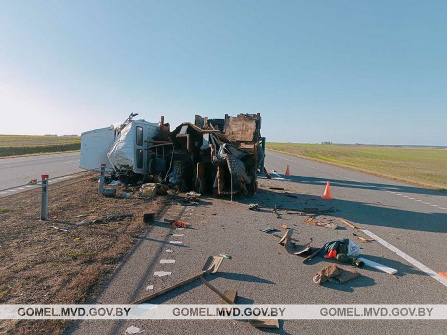 Виновницей ДТП стала оса? Случай в Беларуси