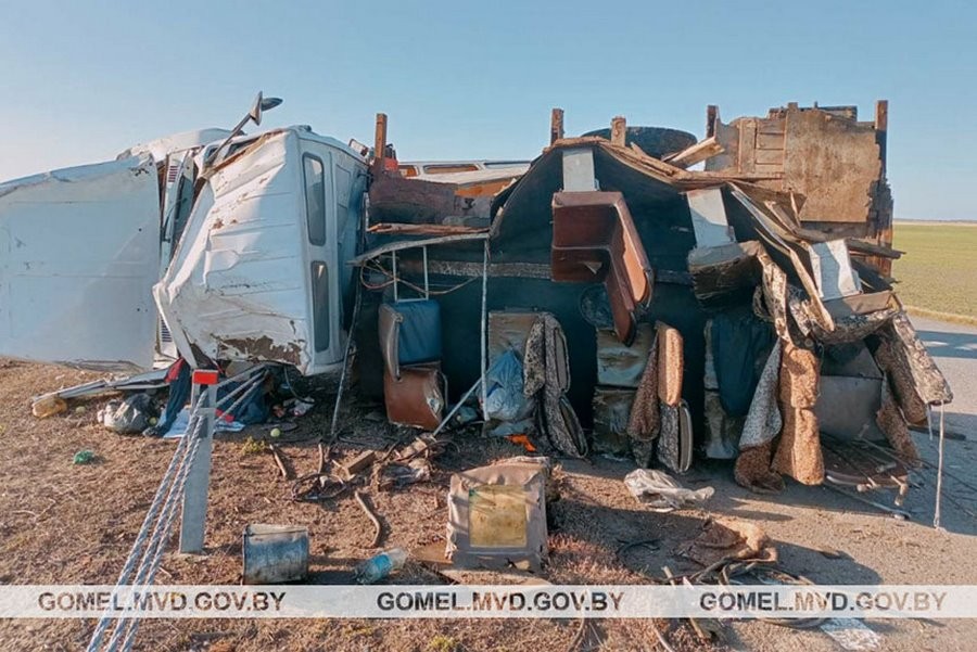 Виновницей ДТП стала оса? Случай в Беларуси