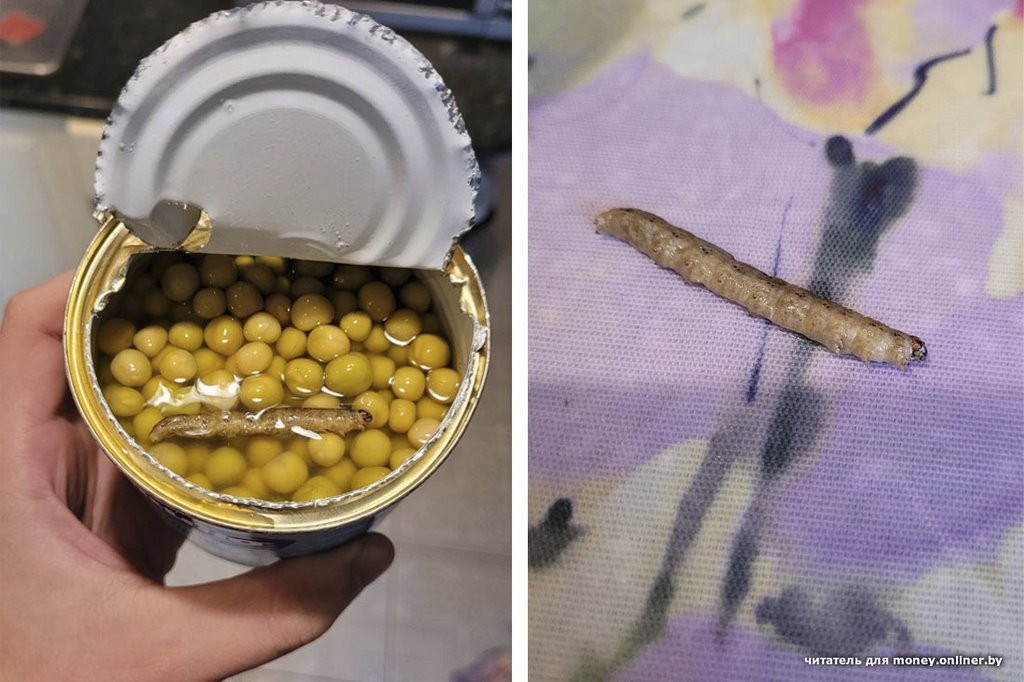 Есть такое совсем не хочется. Белорусы показали фото странных продуктов