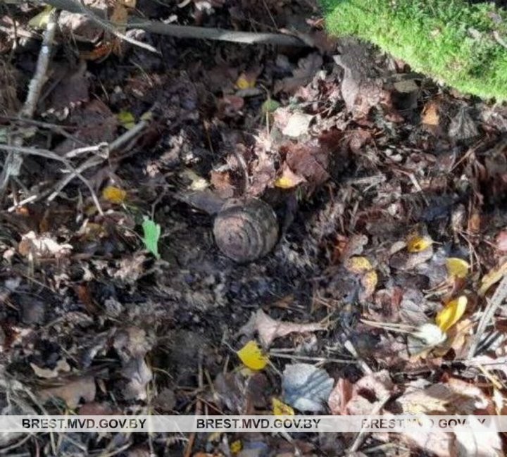 В Брестской области грибник нашел гранату времен Первой мировой войны