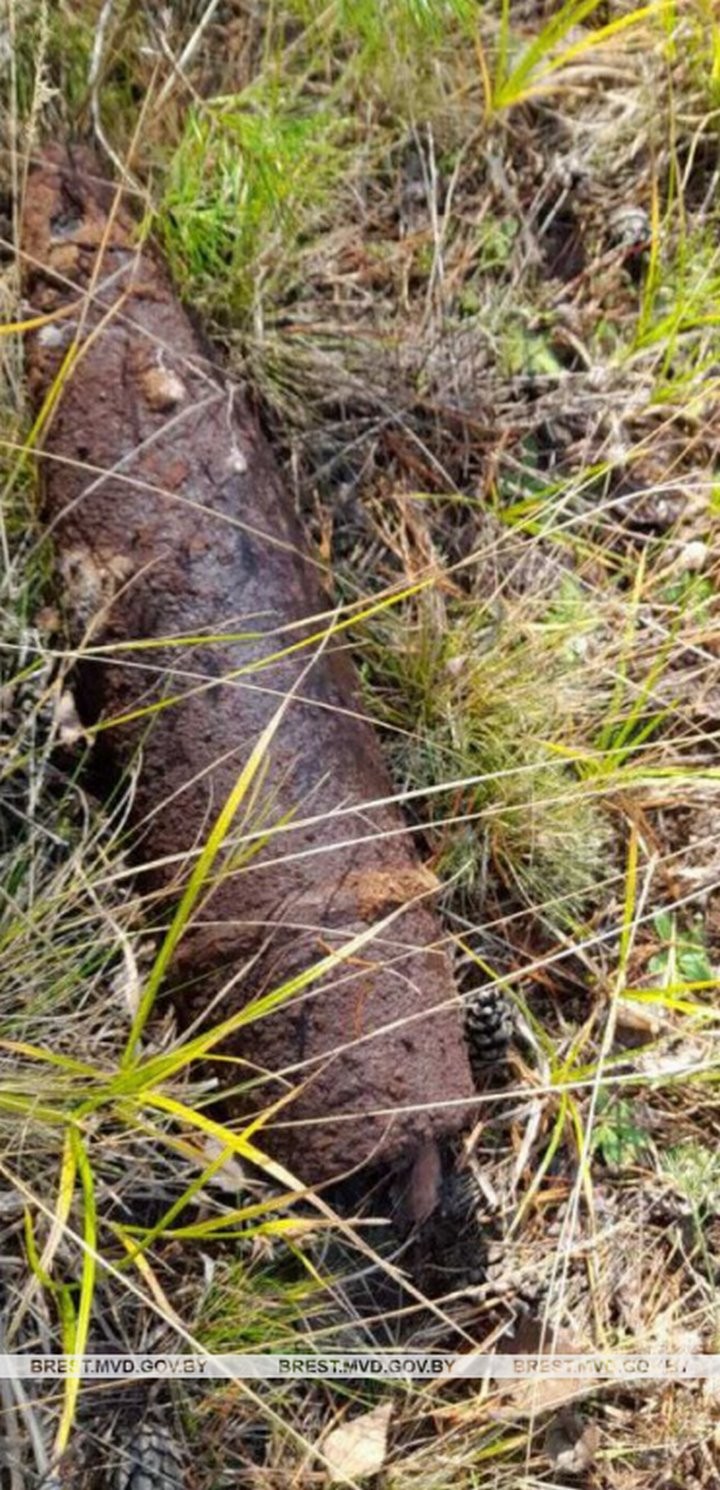 В Брестской области грибник нашел гранату времен Первой мировой войны