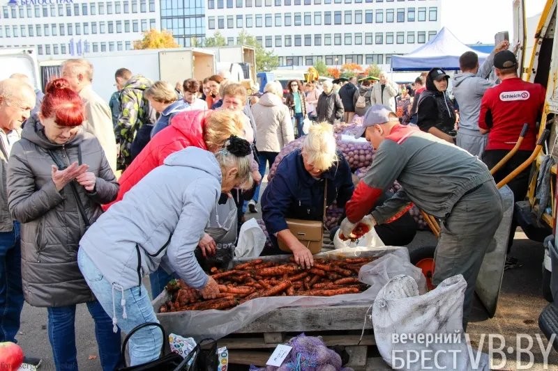 Цены и тенденции на сельхозярмарках в Бресте