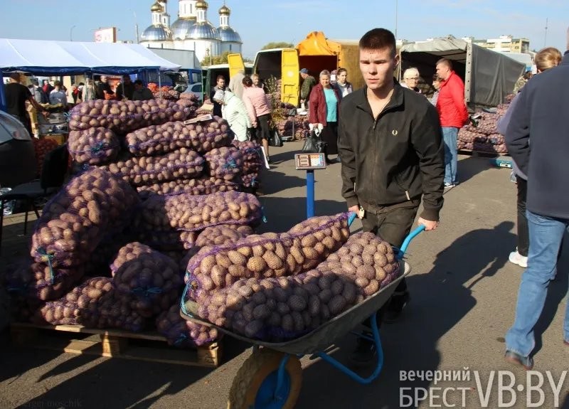Цены и тенденции на сельхозярмарках в Бресте