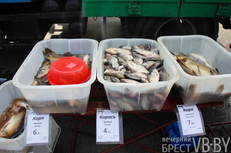 Цены и тенденции на сельхозярмарках в Бресте