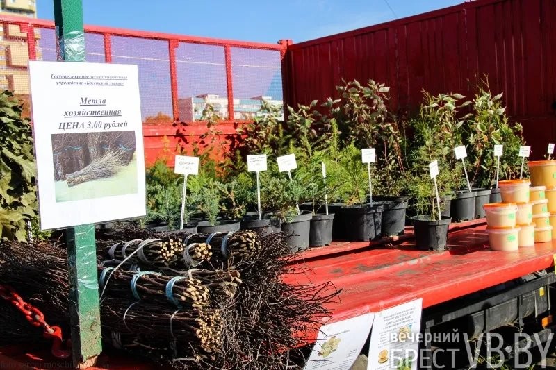 Цены и тенденции на сельхозярмарках в Бресте