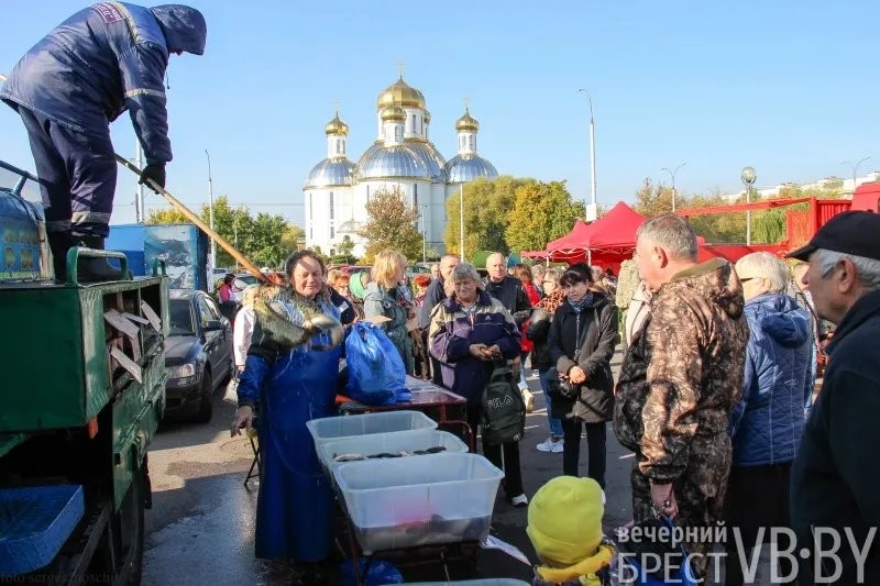 Цены и тенденции на сельхозярмарках в Бресте