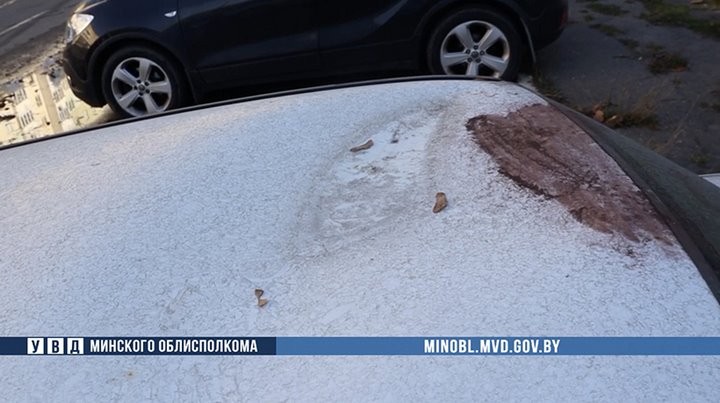 Пара фотографировалась на крыше чужого авто — возбуждено уголовное дело