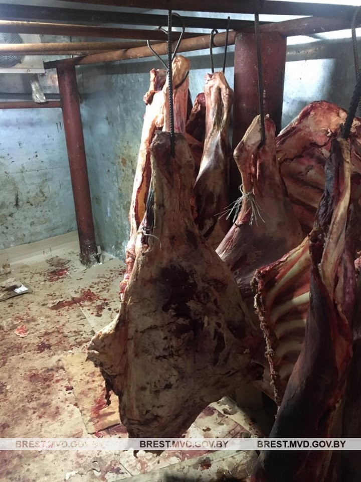 Фермер из Брестской области в антисанитарных условиях хранил 600 кг говядины