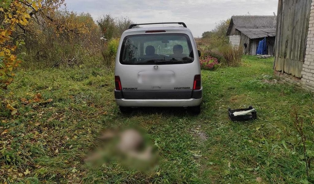 Водитель увидел мертвую косулю и решил забрать. Ему грозит до 3 лет тюрьмы