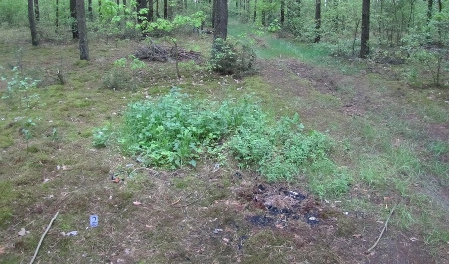 В лесу Пружанского района нашли обгоревший труп девушки. Подробности убийства