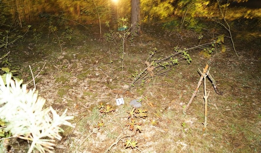 В лесу Пружанского района нашли обгоревший труп девушки. Подробности убийства