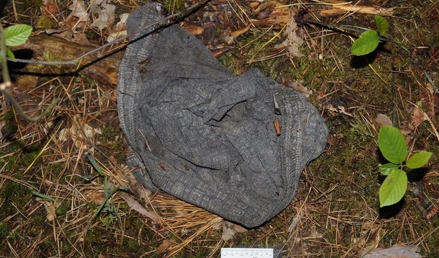 В лесу Пружанского района нашли обгоревший труп девушки. Подробности убийства