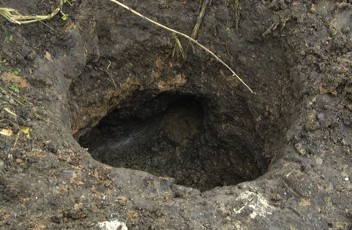 В Беларуси три грибника друг за другом провались в одну и ту же яму