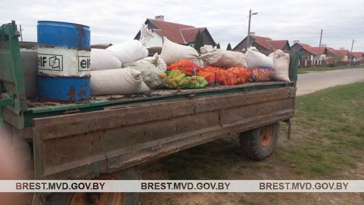 У жительницы Барановичского района изъято 600 кг кукурузы