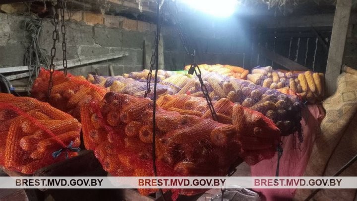 У жительницы Барановичского района изъято 600 кг кукурузы