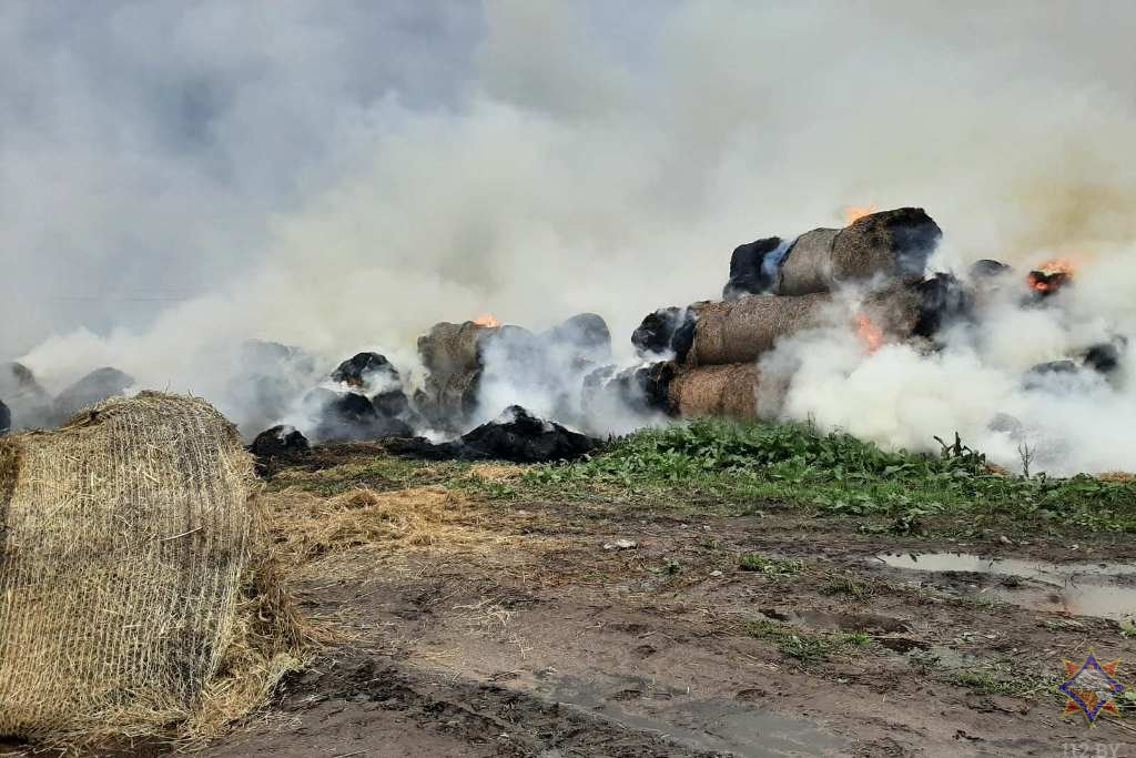 В Столинском районе сгорело 3 тонны соломы