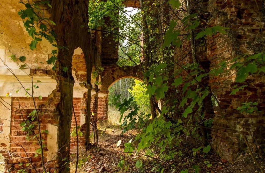 Белорусская пещера, водопад и экотропы в болотах. Топ таинственных и красивых мест для отдыха осенью