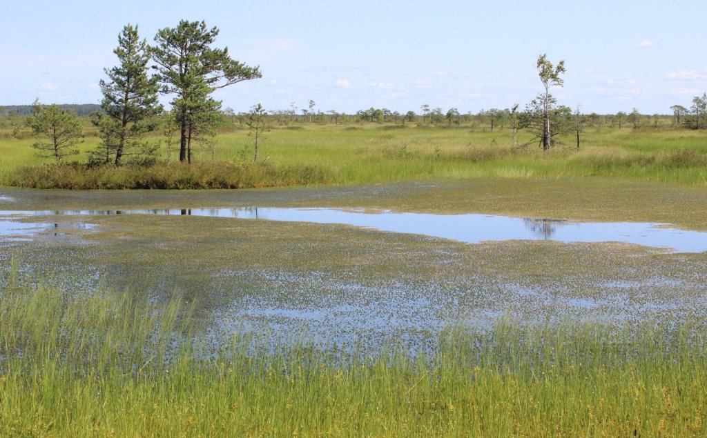 Белорусская пещера, водопад и экотропы в болотах. Топ таинственных и красивых мест для отдыха осенью