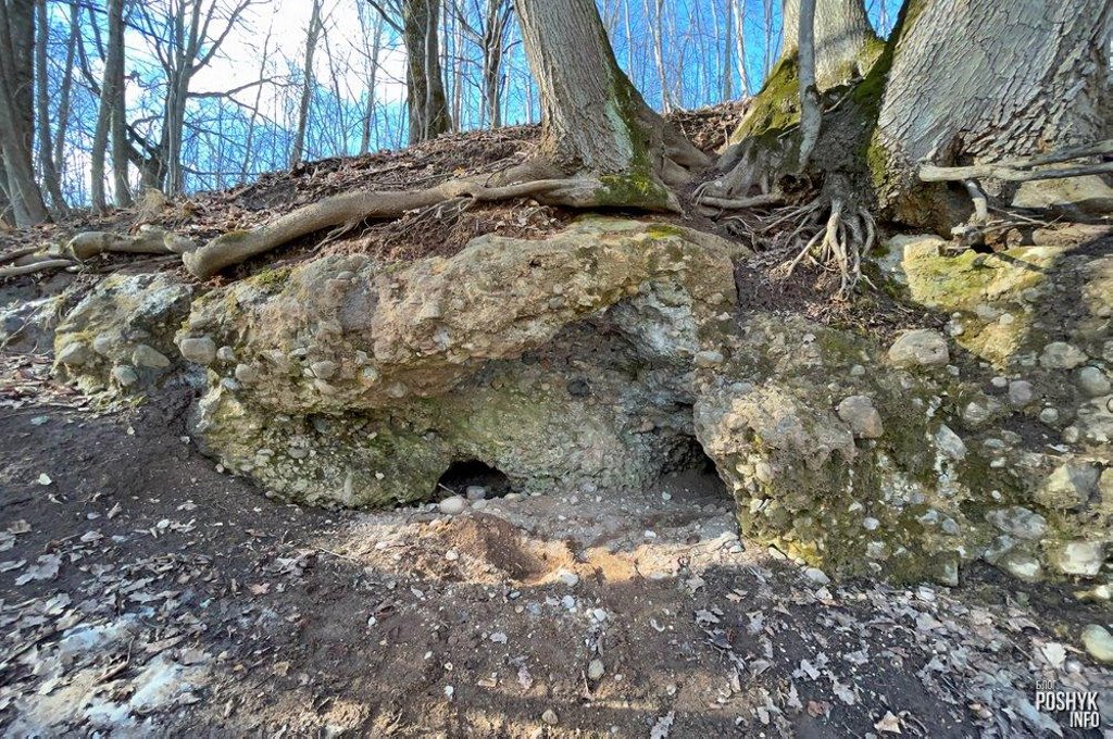 Белорусская пещера, водопад и экотропы в болотах. Топ таинственных и красивых мест для отдыха осенью