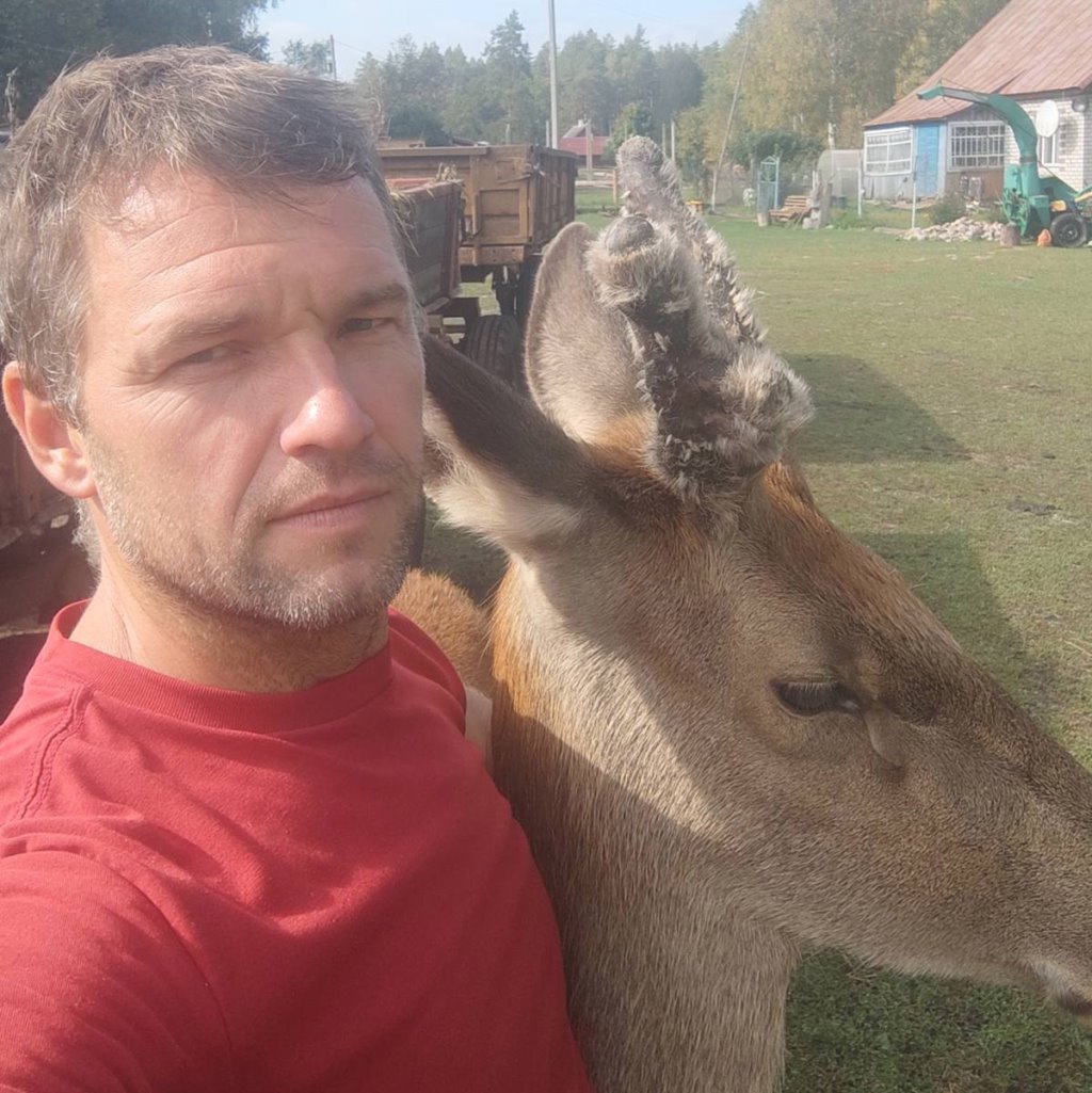 Олень напугал женщину в лесу и собрал более 1,5 млн просмотров в TikTok. Поговорили с его хозяином