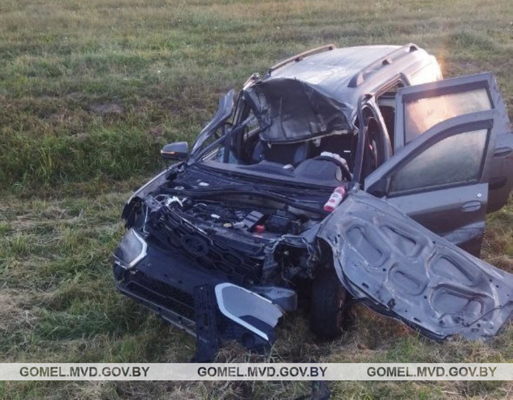 Встреча с лосем закончилась кюветом и реанимацией. А как нужно было поступать?