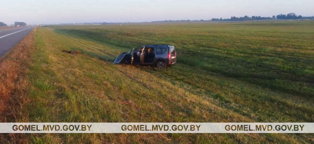 Встреча с лосем закончилась кюветом и реанимацией. А как нужно было поступать?