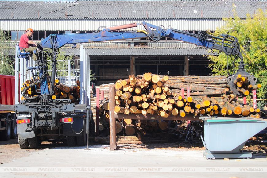 В Брестском лесхозе рассказали, как предприятия и жители областного центра и окрестностей готовятся к сезону холодов